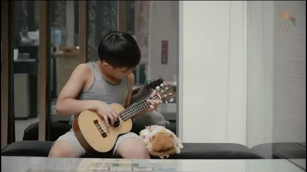 歐馬 沙龍級 寵物洗